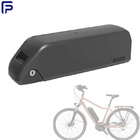 Batteria per bicicletta elettrica agli ioni di litio ODM, batteria per bici elettrica 48V 20ah resistente agli urti