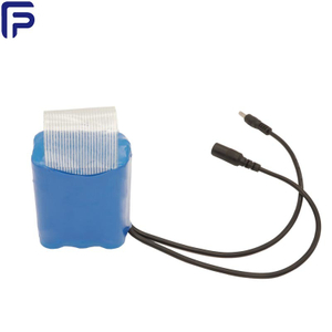 Batteria ricaricabile agli ioni di litio da 11,1 V 3s2p 5000 mAh PCB integrata